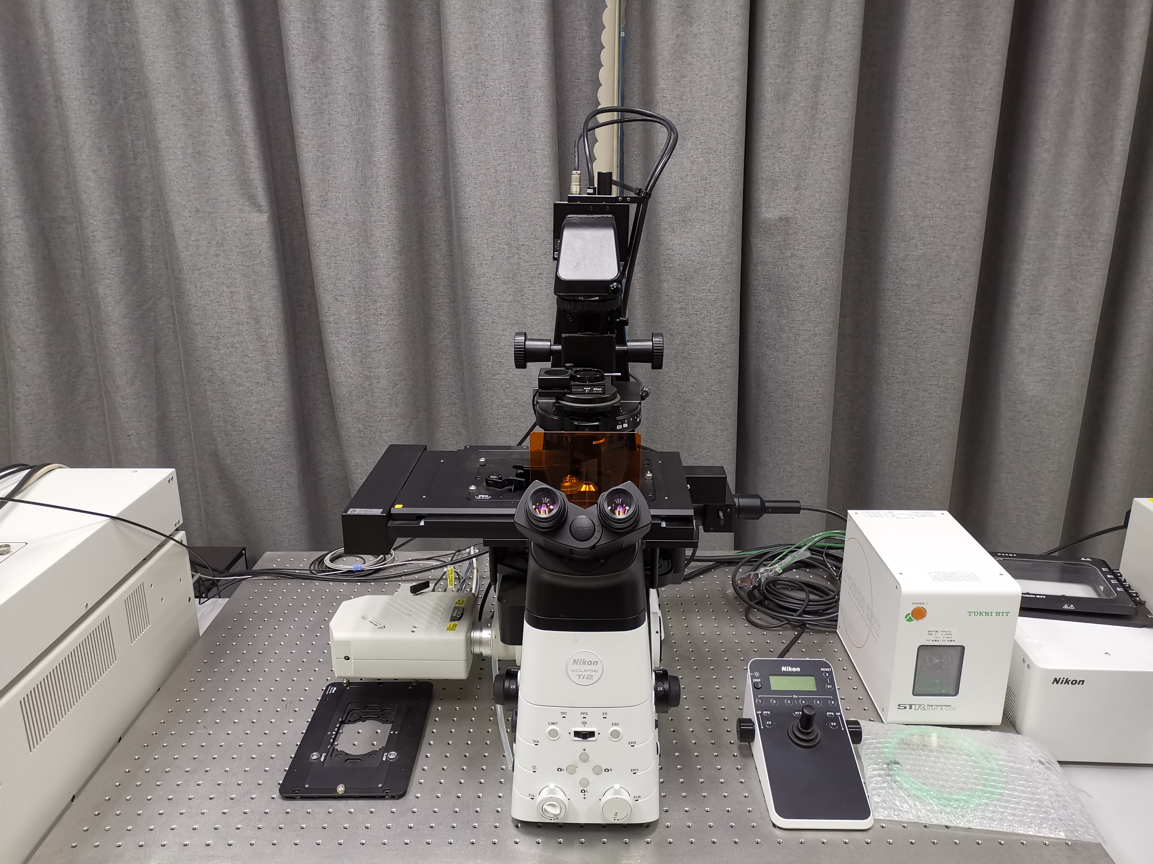 nikon c2  共聚焦显微镜